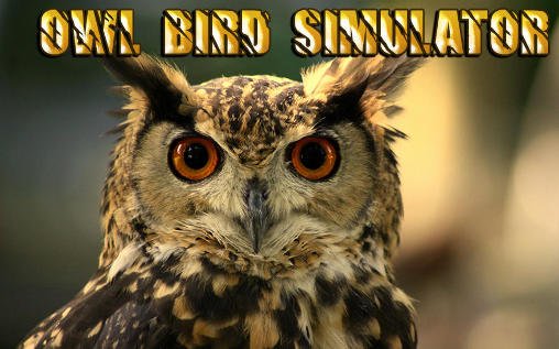 game pic for Owl bird simulator